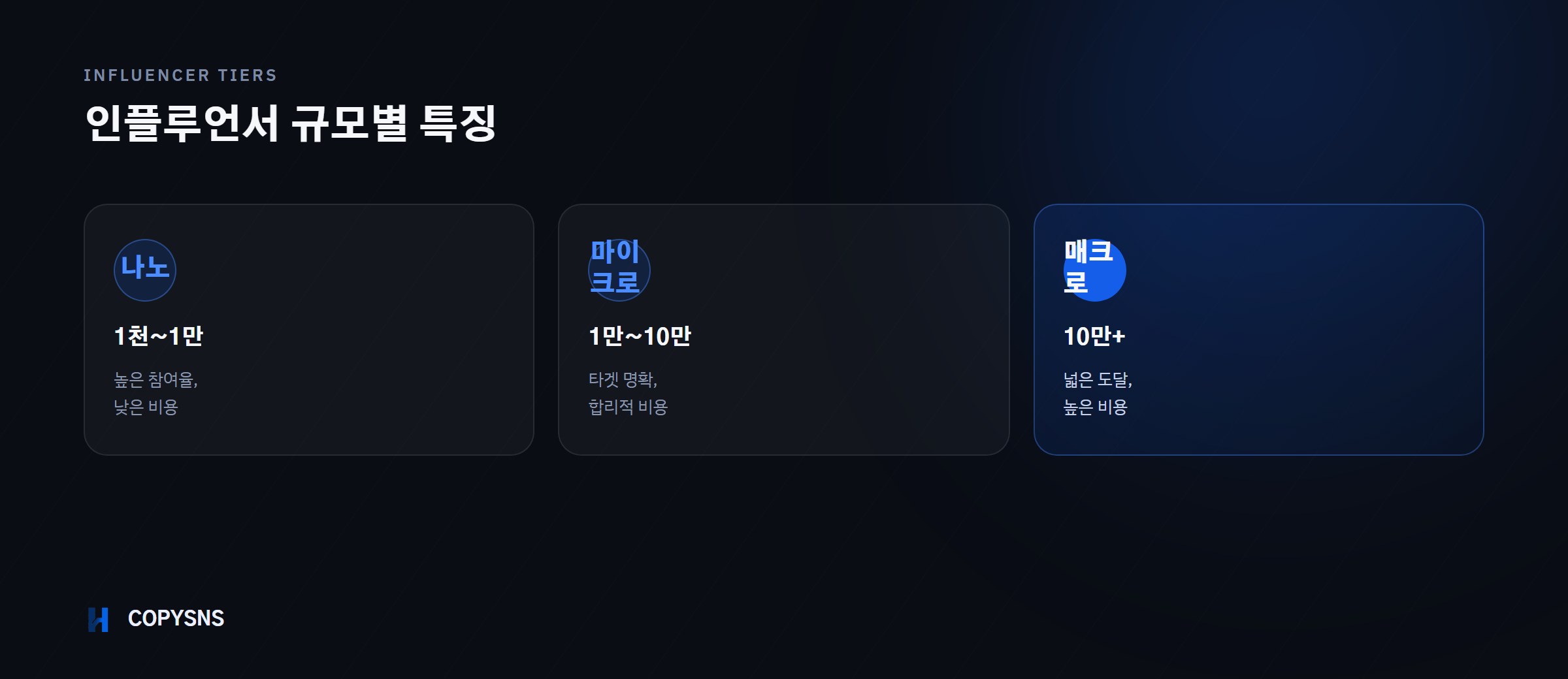 인플루언서 규모별 특징